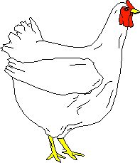 chicken gif
