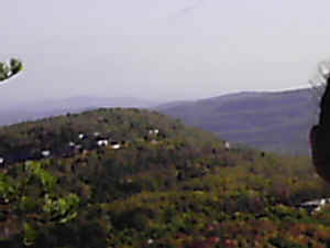 DCFN0003.JPG (68554 bytes)