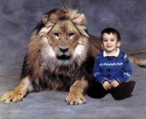 Petelion.jpg (8567 bytes)