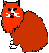 cat.gif (583 bytes)