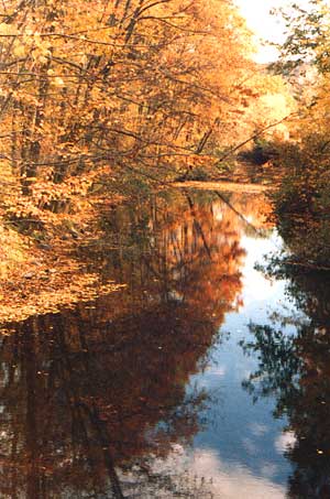 fall.jpg (32532 bytes)