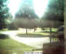 spycam.jpg (10235 bytes)