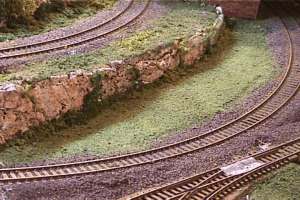 trai005.jpg (14968 bytes)