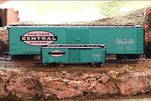 trai011.jpg (12863 bytes)