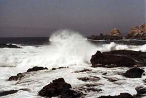 wave.jpg (9215 bytes)